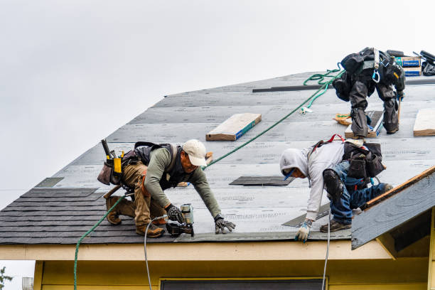 Professional Storm Damage Roof Repair technician working in Pineola, NC